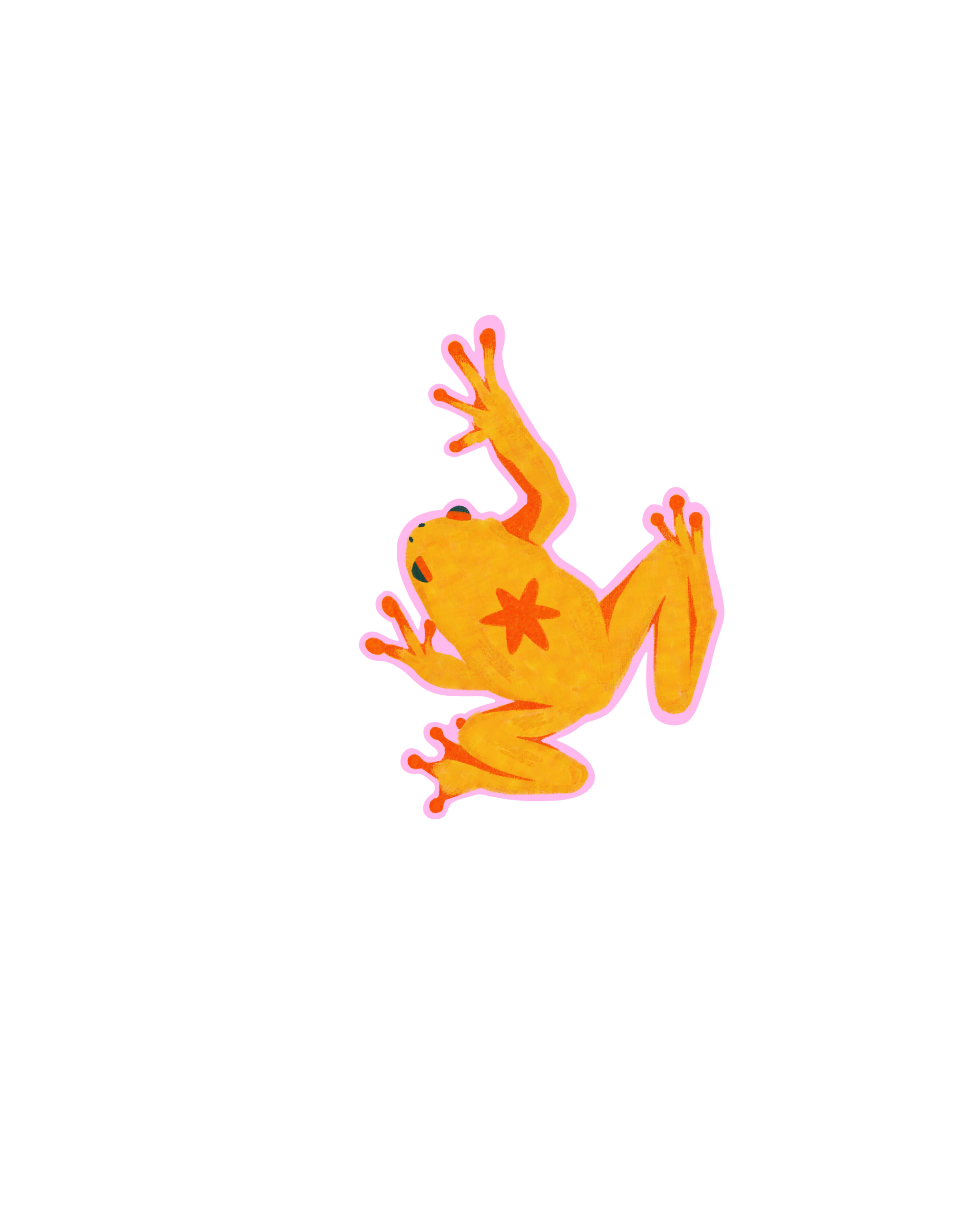 Frog Sticker
